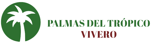 logo-rehechos-13-3